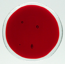 C04e 
