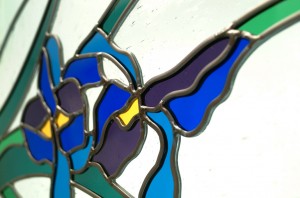 iris